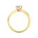 Elisia Ring